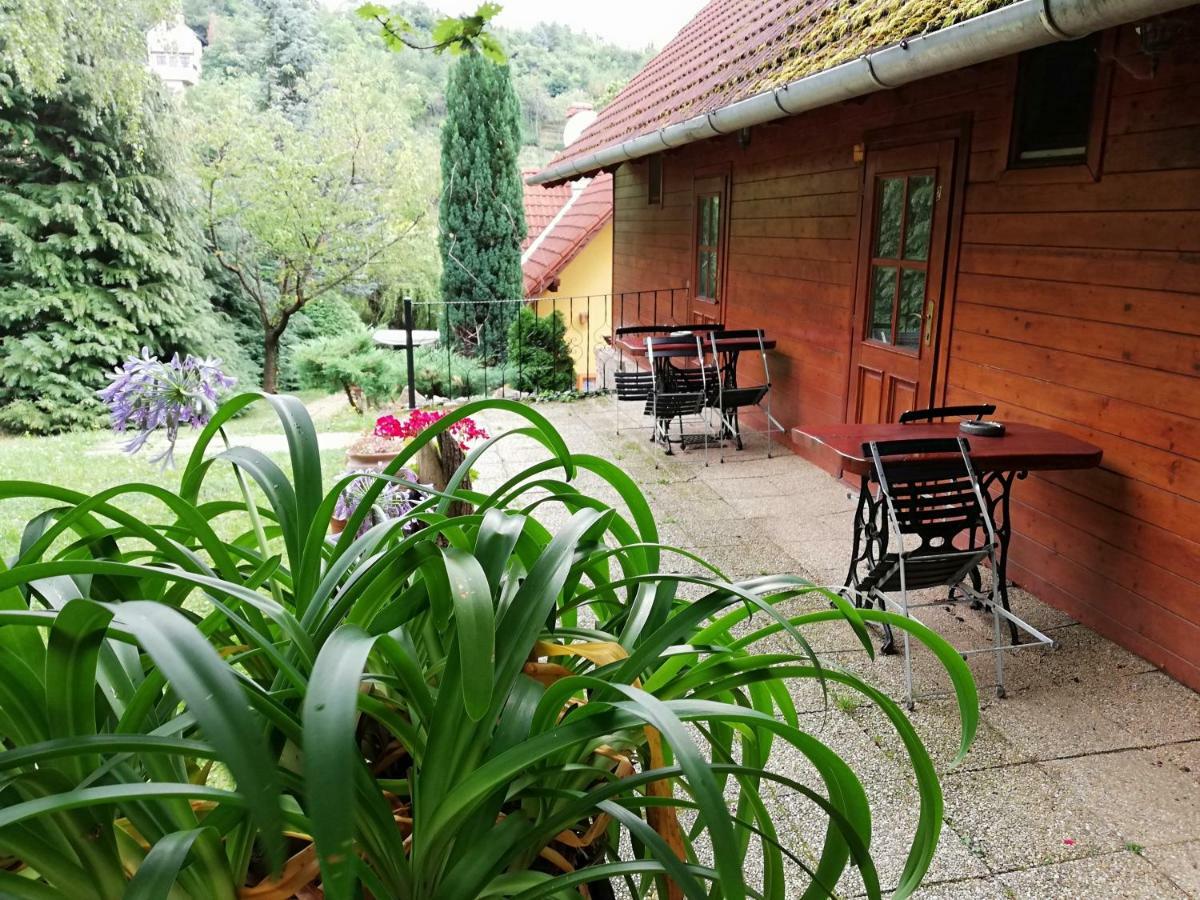Mohas Vendeghaz Koszeg Mohas Ut 107 Hotel Екстериор снимка