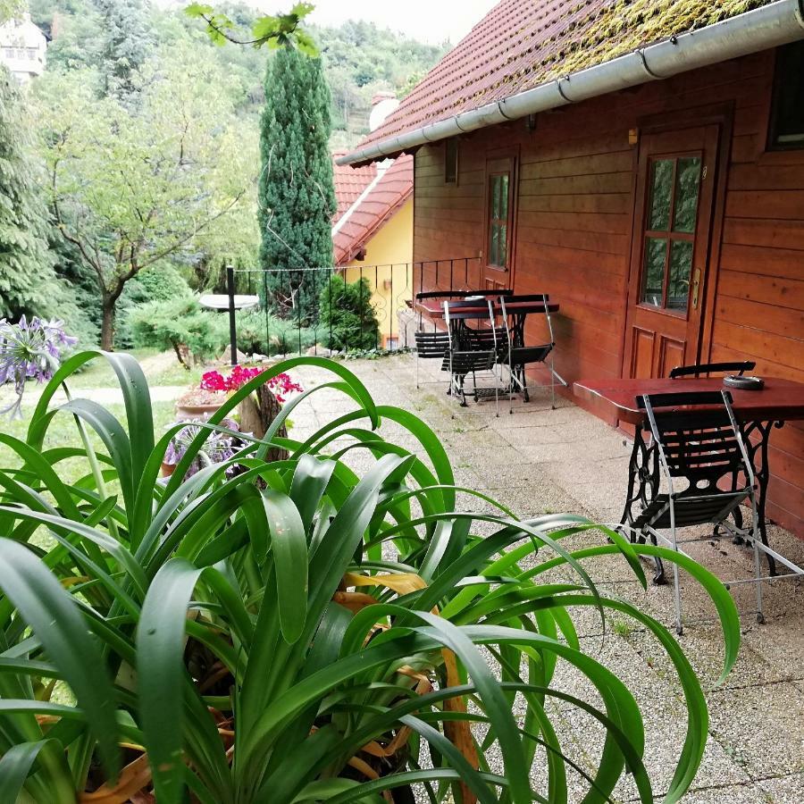 Mohas Vendeghaz Koszeg Mohas Ut 107 Hotel Екстериор снимка