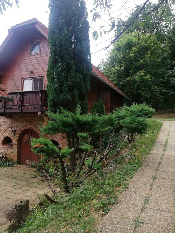 Mohas Vendeghaz Koszeg Mohas Ut 107 Hotel Екстериор снимка